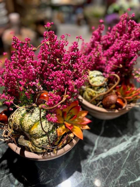 Efterårsbeplantning - Billede 2